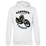 11391_280781_230_v1_front_1024 - SHIRT & CANVAS